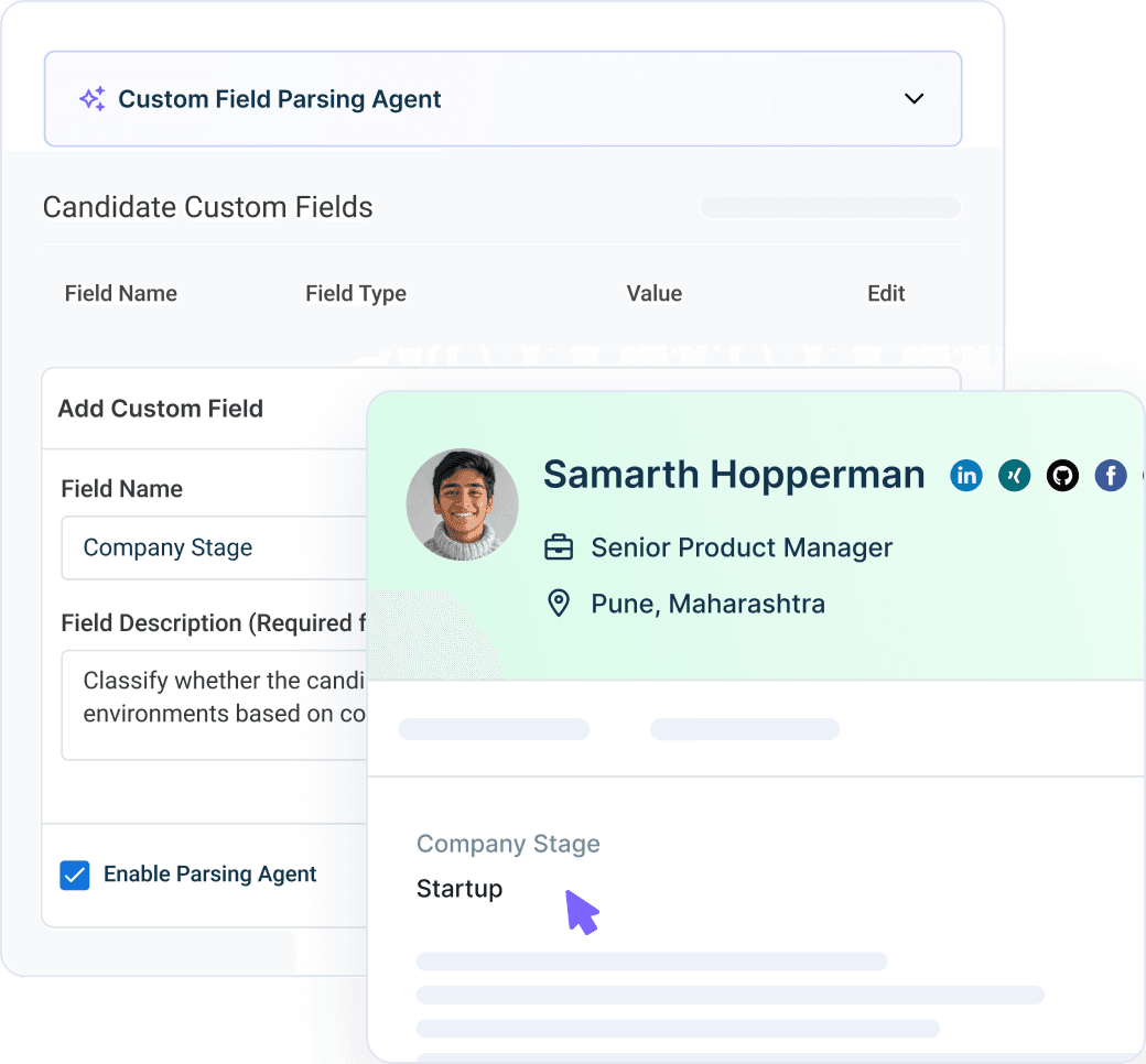 Custom Field Parsing Agent